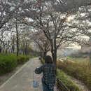 소임 | 편한 여름 임부복 추천 청바지 원피스 내돈내산 후기 - 소임