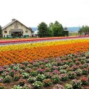 무재농장 이미지