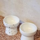 웃는 숲 이미지