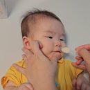 부광냉장 | 4개월 아기 철분제 닥터라인 헤모키즈 먹이는 방법 내돈내산 후기