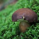 송이 어린이집 이미지