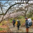 비산중교 이미지