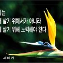 노불레스