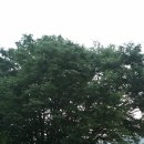 우보초등학교 이미지