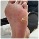 레푸스 여의도점 이미지