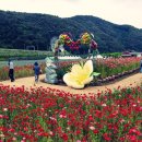 하동군수배 등반대회(구재봉 자연휴양림/꽃양귀비축제) 이미지