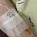 창미고깃집 | [RN#0] 웨이팅게일의 요양병원 간호사 6개월차 후기🏥💉