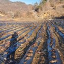 덕산면049 Daum카페