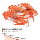 &#34;연말에 대게 파티?&#34;…킹크랩 이어 대게 가격도 &#39;반토막&#39; 이미지