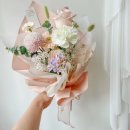 피오유플레르 이미지