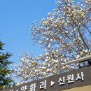 신원사 버스정류장 이미지