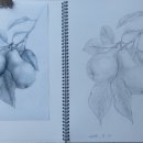 5060 연필화(야간) 이미지