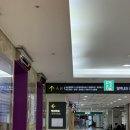 메밀꽃일다 | [구로구 맛집] 고대구로병원 분식 맛집 <메밀꽃일다> 솔직 후기