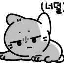 하나로누가약국 이미지