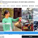 주니버스 | 후쿠오카 유후인 벳부 버스투어 혼자 예약 내돈내산 후기