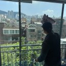 금호유리