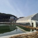 동막낚시터 이미지