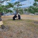 동해조경주식회사