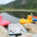 아라독채펜션 이미지