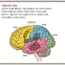 거울 뉴런-공감,모방으로 문명을 창조하다 이미지