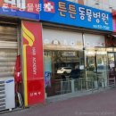 이랑동물병원 | 동구 동물병원 튼튼동물병원 일기