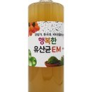 발효 먹을만한거
