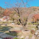 의암스카이워크 칠전동 입구 이미지