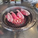 황금돼지껍띠