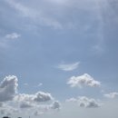 협재마당 이미지