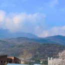 아침풍경 Daum카페