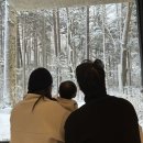 세븐일레븐 군산경장행복점 | 아기랑 강원도 2박3일 여행(세인트존스 호텔/밀브릿지/정은숙초당순두부/용평공룡해양랜드/솔재옹심이...