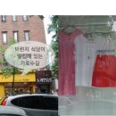 여왕의브런치 이미지