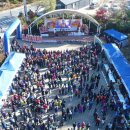 우포늪생명길 이미지