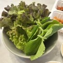 대구 이곡동 맛집 성서산업단지역맛집 황금족발 배달시켜먹은 후기