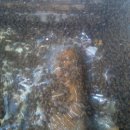 소망1농장 이미지