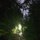 튼튼나무의원 이미지