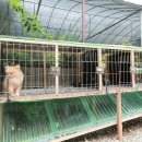 부림1농장 이미지