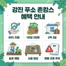 강진행복푸드 | 여름 촌캉스는 강진 푸소(FU-SO)로! 🏡🌾 최대 80% 지원 혜택 및 예약 요령 총정리 ✨