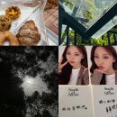🥯🥖🍞요즘 plog(=ﾟωﾟ)ﾉ 이미지