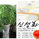 광명농원