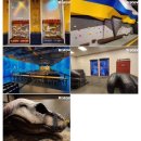 골프존 테마파크 | 디스커버스 의왕, 겨울방학 아이랑 가기 좋은 디스커버스 의왕 후기