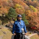 봉화군 종합관광안내소 이미지