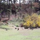 산천농장 이미지