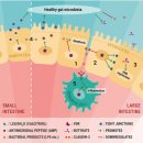 Re:Re Managing vitamin D deficiency in inflammatory bowel disease - BMJ 저널 이미지