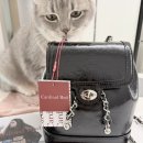 주식회사 레드포인트 | 카디널레드 하니백 후기🖤