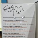 위너스PC | 부산 책스캔, 서면 위너스캔 부산점 직접 다녀온 솔직 후기 및 가격 공유