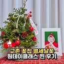 원트리 | 김포 고촌 꽃집 열세달꽃, 크리스마스 트리 원데이클래스 후기