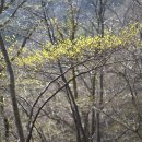 금산-08 이미지