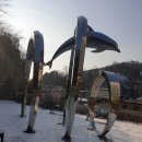 슬기로운 정육점 이미지