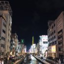 2019-03-0082 | [일본/오사카, 교토]2019 오효부부의 벚꽃놀이/06. 도톤보리, 스키야끼, 쿠시카츠, 도리야끼, 오사카성...